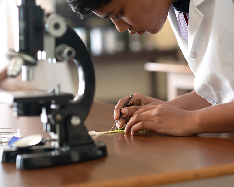 project-slider-image