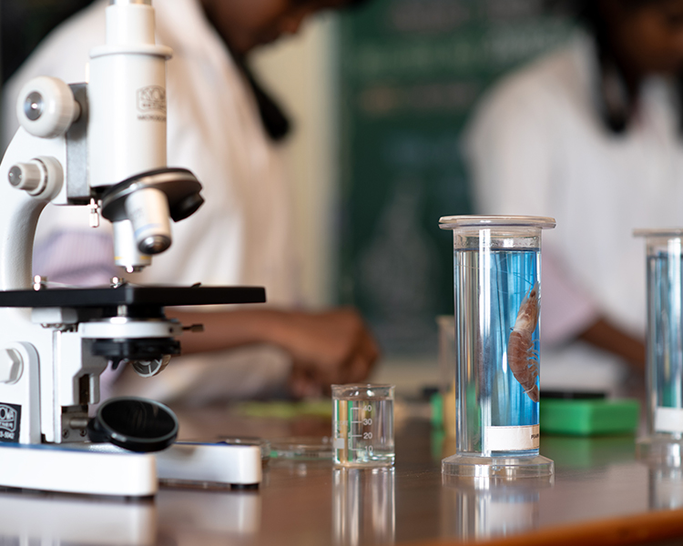 project-slider-image